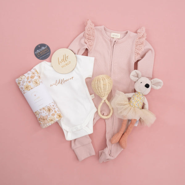 Baby girl clothes next day delivery sale