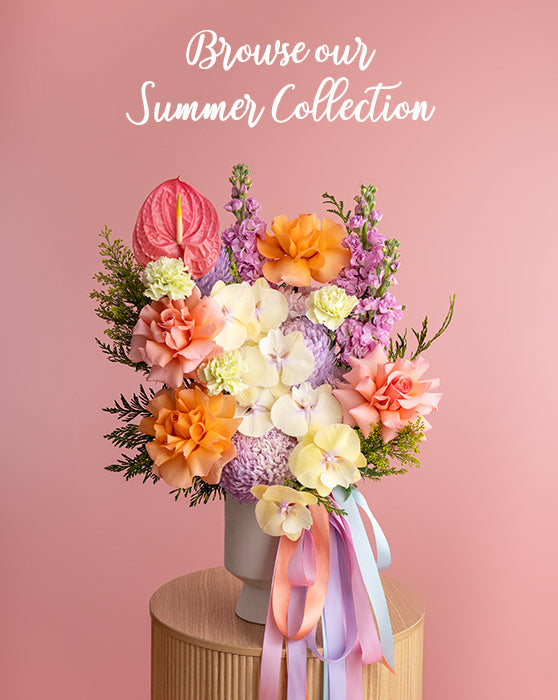 Summer Collection