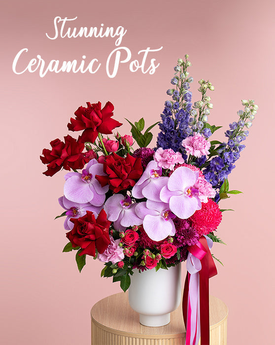 Ceramic Pots