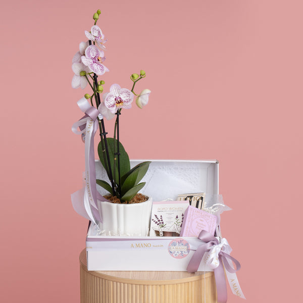 Delicate Orchid Hamper