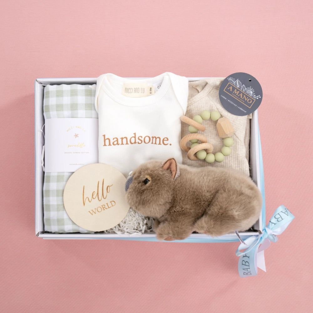 Hello World Baby Boy Gift Hamper