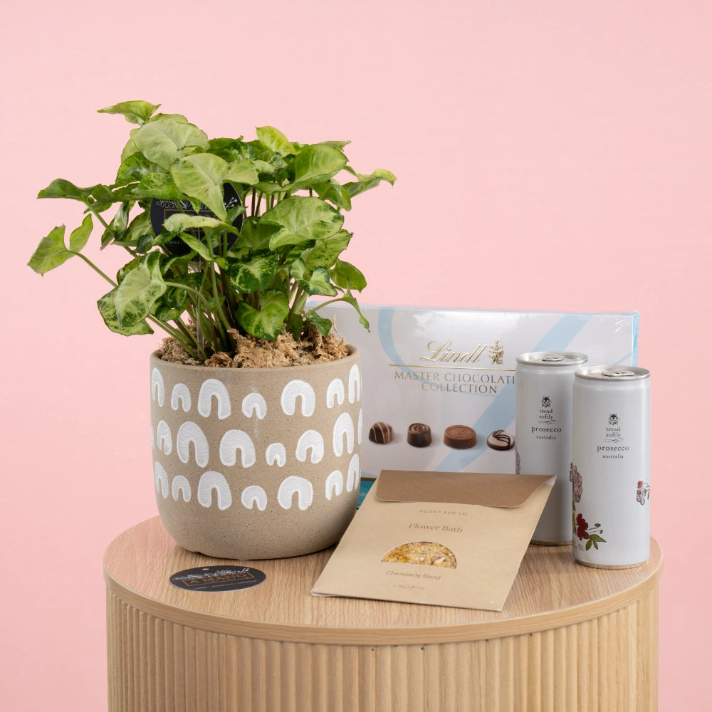 Plant & Prosecco Lux